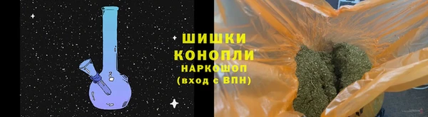 ECSTASY Грязи