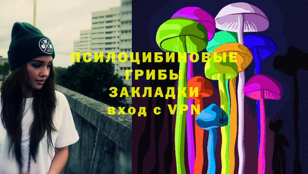 тгк Аркадак