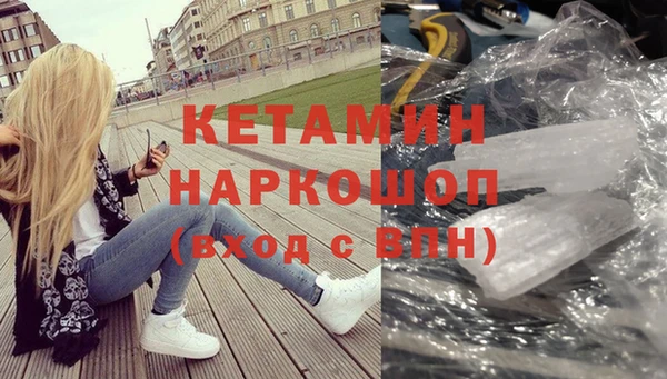 сатива Россошь