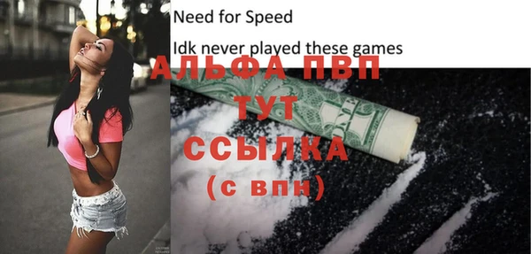 стафф Ростов